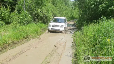 Обои на телефон с водопадом радужным в природе