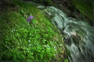 Фон с водопадом радужным для оформления