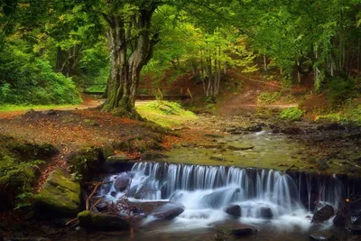 Уникальные изображения водопада Шипот: фото, картинки, фотографии