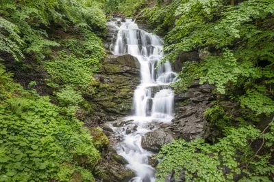 Уникальные арты водопада Шипот: фото, картинки, изображения