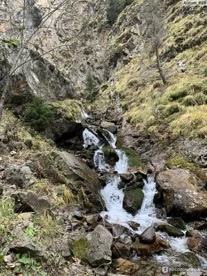 Водопад Шумка: природное чудо в объективе камеры