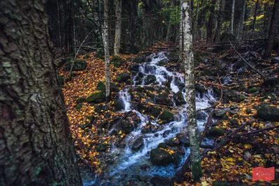 Удивительные изображения водопада Шумка