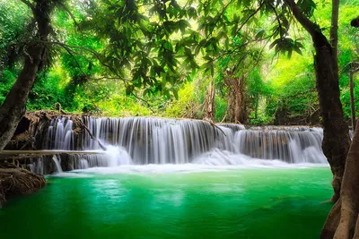 Величественный каскад воды на фоне лесной зелени