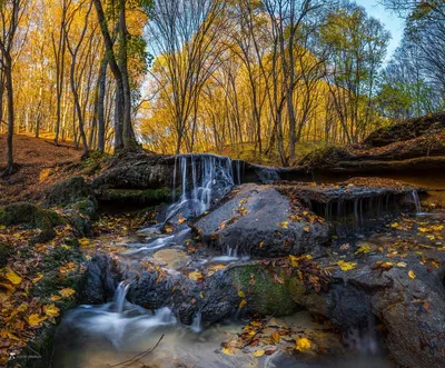 Магия воды и природы: фото водопада в лесу