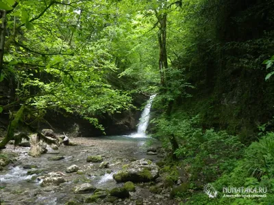 Удивительный водопад в лесу на ваш экран