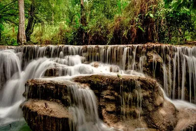 Слияние элементов: поток воды и лесная зелень на фото