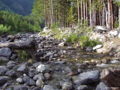 Фотки водопадов аршана с эффектом летящих птиц