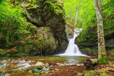 Инсайт: как создать впечатляющий ландшафт с водопадами для дома (фото)