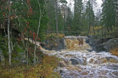 Карельские водопады: потрясающие сюжеты для фотографий