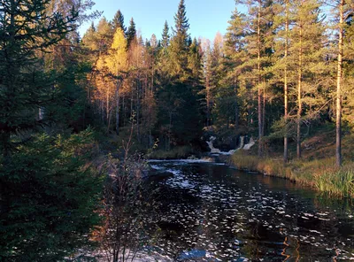 Карелийские водопады в формате gif: фотообои для разнообразия