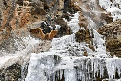 Удивительные изображения водопадов Крыма в форматах JPG, PNG и WebP