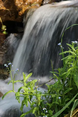 Уникальное природное наследие: водопад Plitvice в Хорватии