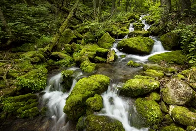 Фотографии водопадов приморского края в формате jpg