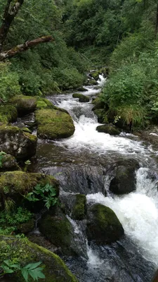 Эпические виды водопадов Телецкого озера на фото