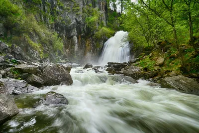 Мощь стихии: фотографии впечатляющих водопадов Телецкого озера