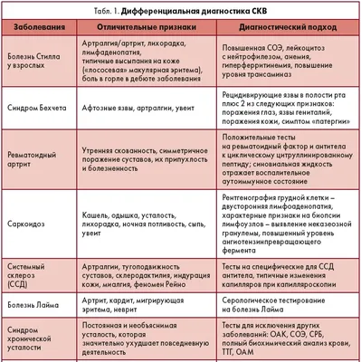 Фото волчаночной бабочки с прекрасным качеством