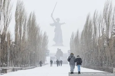 Зимние радости Волгограда: Фото для скачивания в различных размерах