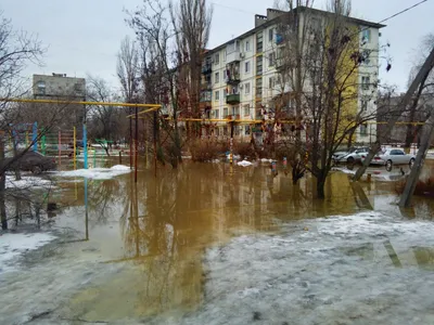 Зимние мгновения в Волгограде: Выбирайте формат и размер фото
