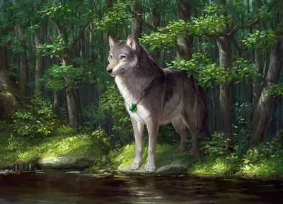 Обитель волка: красивое фото волка в его природной среде обитания