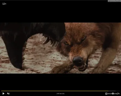 Изображение волков из фильма Сумерки: выберите формат и размер для скачивания