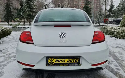 Скачать бесплатно фото Volkswagen жука