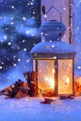 Волшебство снежных дней: Фотографии зимнего восторга