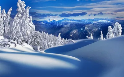 Волшебные пейзажи: Зимняя сказка в каждом кадре