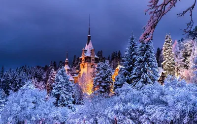 Волшебная зима фотографии