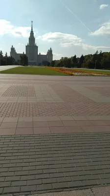 Вид на Воробьевы горы с высоты: захватывающая красота природы на фотографиях 