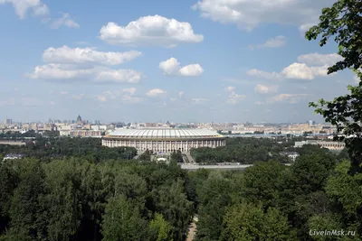 Фотк Воробьевых гор с панорамы