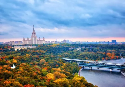 Воробьевы горы зимой: Фотографии, чтобы запомнить