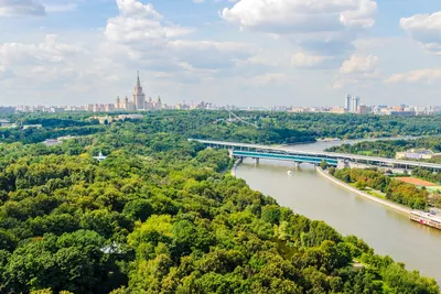 Воробьевы горы в Москве: красивые фотографии для использования