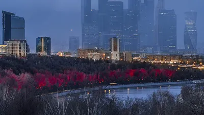 Завораживающая красота Воробьевых гор (фото)