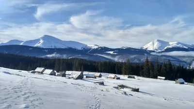 Ворохта под снежным покрывалом: Зимние зарисовки