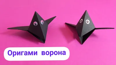 Фотография молодой вороны на гнезде