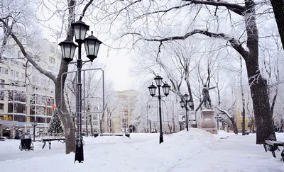 Зимний Воронеж: Красота белоснежного покрова