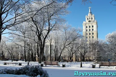 Воронеж в зимнем варианте: Фотографии с метками Фото, картинка, изображение