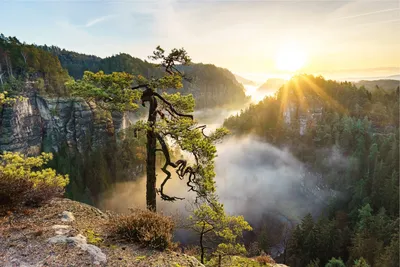 Фотк: Магический восход солнца в горах