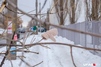 Весенние краски: вдохновляющие фотографии природы