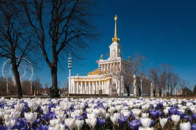 Фото весны 2024 в HD качестве