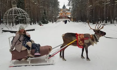 Фотография деда мороза в магической атмосфере