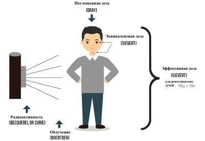 Фотография: Воздействие радиации на жизненные функции человека