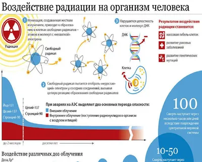 Фото: Экспозиция радиации и человеческое здоровье