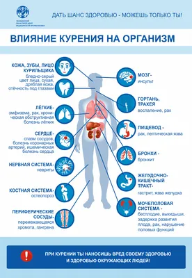 **Фото плакаты о вреде курения: полезная информация и советы**