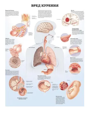 Плакаты о курении: убедительные изображения