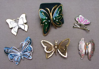 Удивительные фотографии бабочек всех цветов