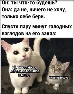 Веселые фотографии для скачивания в JPG формате