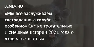 Улыбчивые фотографии, которые делают ваш день лучше