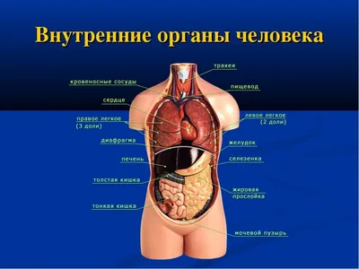 Взгляд изнутри: выберите размер и формат (JPG, PNG, WebP) для загрузки