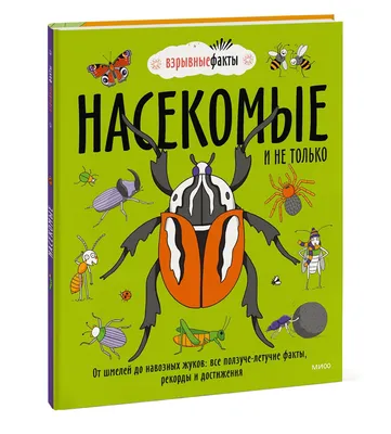 Живые и яркие изображения жуков для декорации